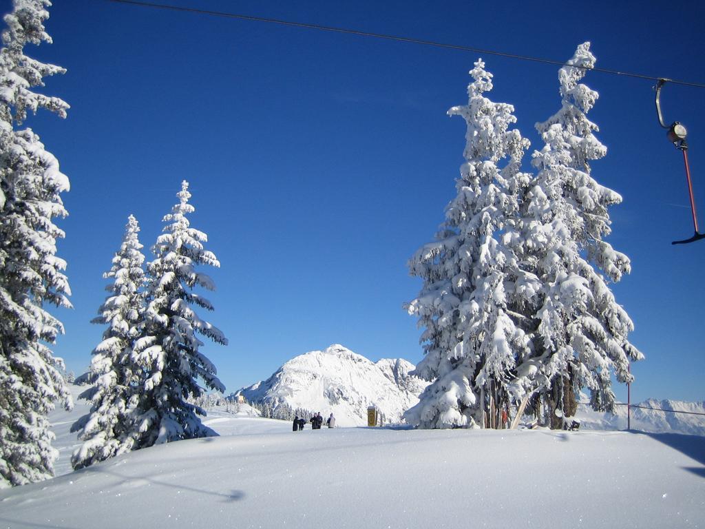 Ferienhaus Niedermoser Leogang Luaran gambar